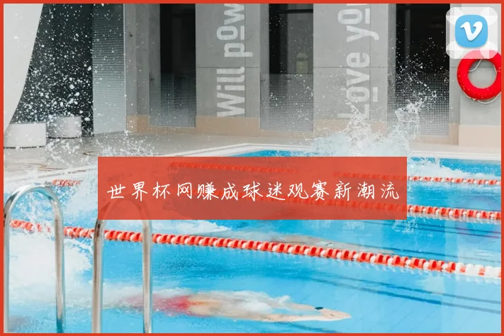 世界杯网赚成球迷观赛新潮流