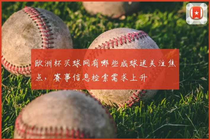 欧洲杯买球网有哪些成球迷关注焦点,赛事信息检索需求上升