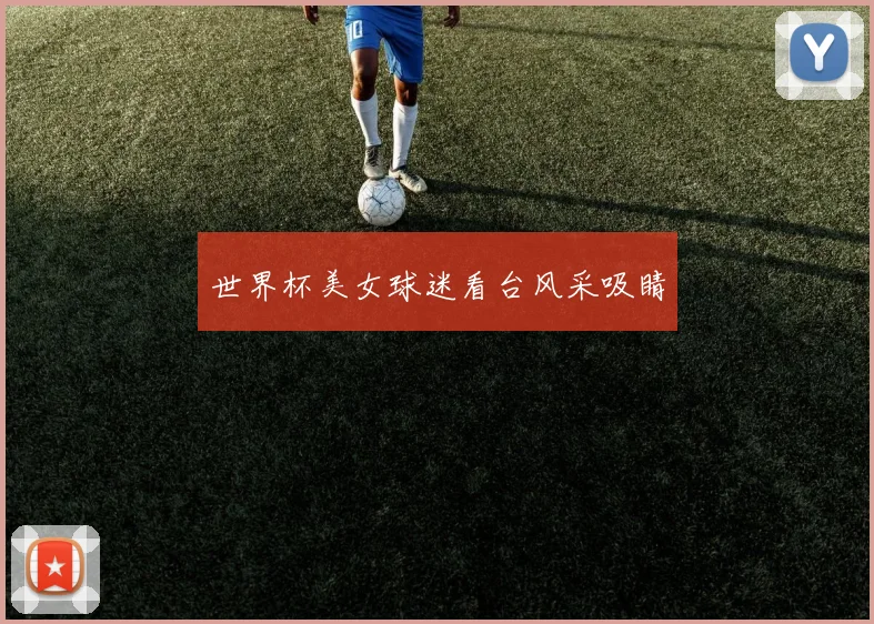 世界杯美女球迷看台风采吸睛