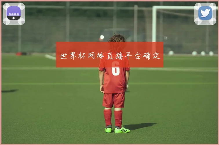 世界杯网络直播平台确定