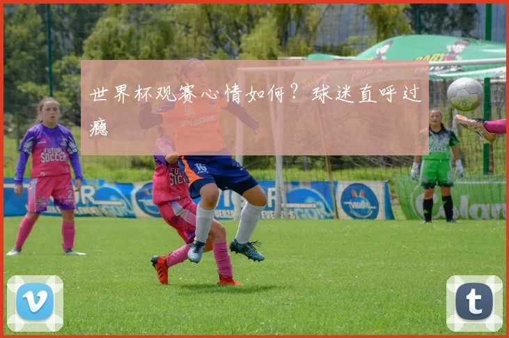 世界杯观赛心情如何?球迷直呼过瘾