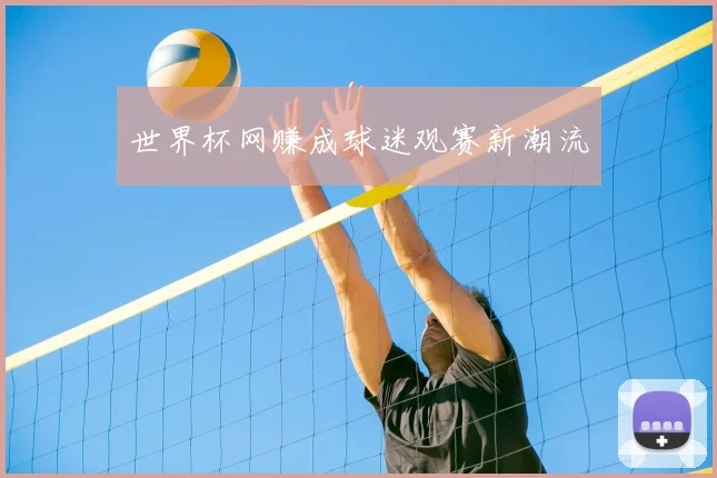 世界杯网赚成球迷观赛新潮流