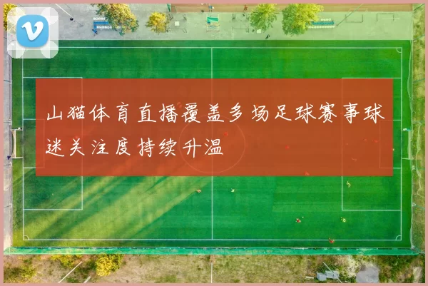 山猫体育直播覆盖多场足球赛事球迷关注度持续升温