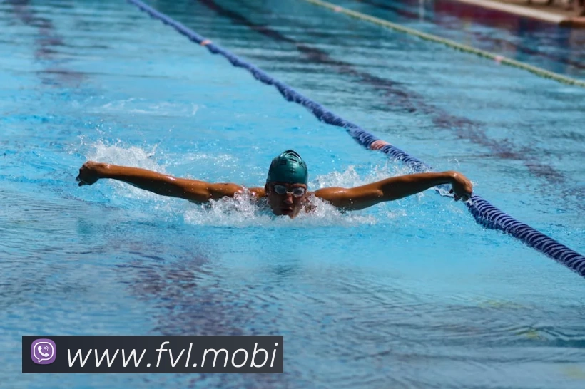 多媒体互动体验